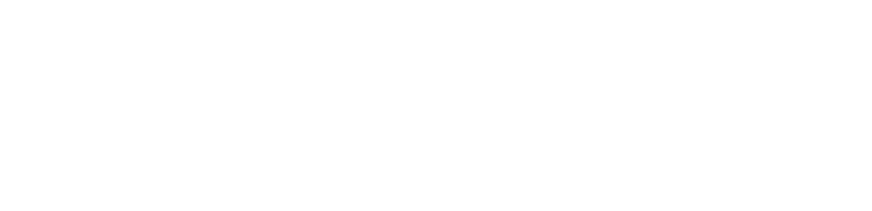 FreedomAI_Logo_white_noF-01